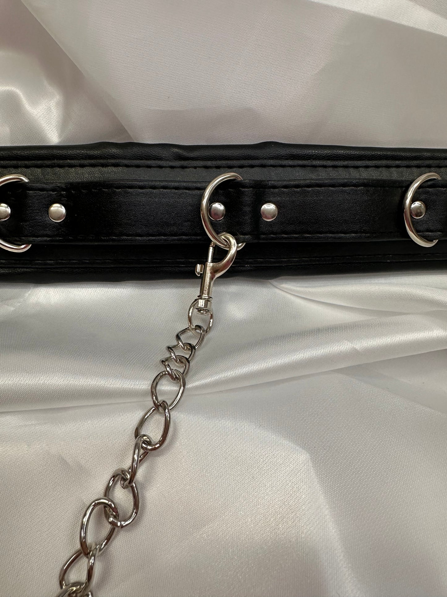 Luxury Leather Collar with Metal Leash – Elegant & Durable Restraint